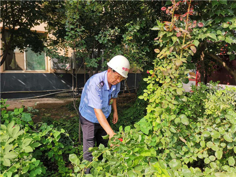 河南橋梁鋼模板廠家——美麗的花園，來自辛勤的勞動