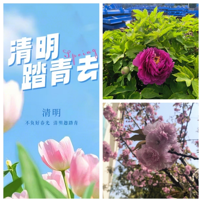 清明節(jié)，去踏春吧